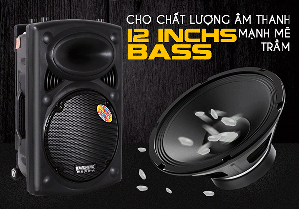 Loa trợ giảng dạng kéo Temeisheng 297L giá rẻ 2